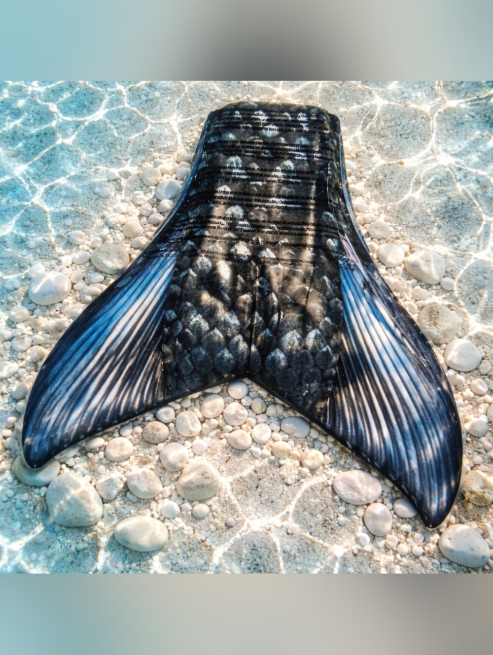 𝑭𝒊𝒏 𝑭𝒖𝒏 𝑴𝒆𝒓𝒎𝒂𝒊𝒅 𝑻𝒂𝒊𝒍 & 𝑴𝒐𝒏𝒐𝒇𝒊𝒏 𝑲𝒊𝒅𝒔𝟏𝟎 - Picture 5 of 9